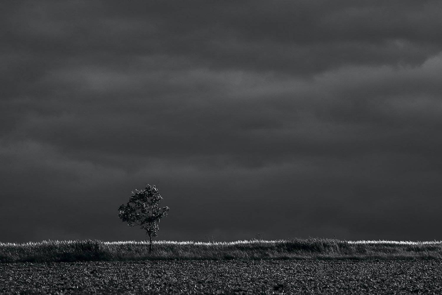 , Роман Рыжков