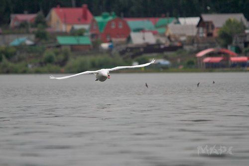 Полет нормальный.