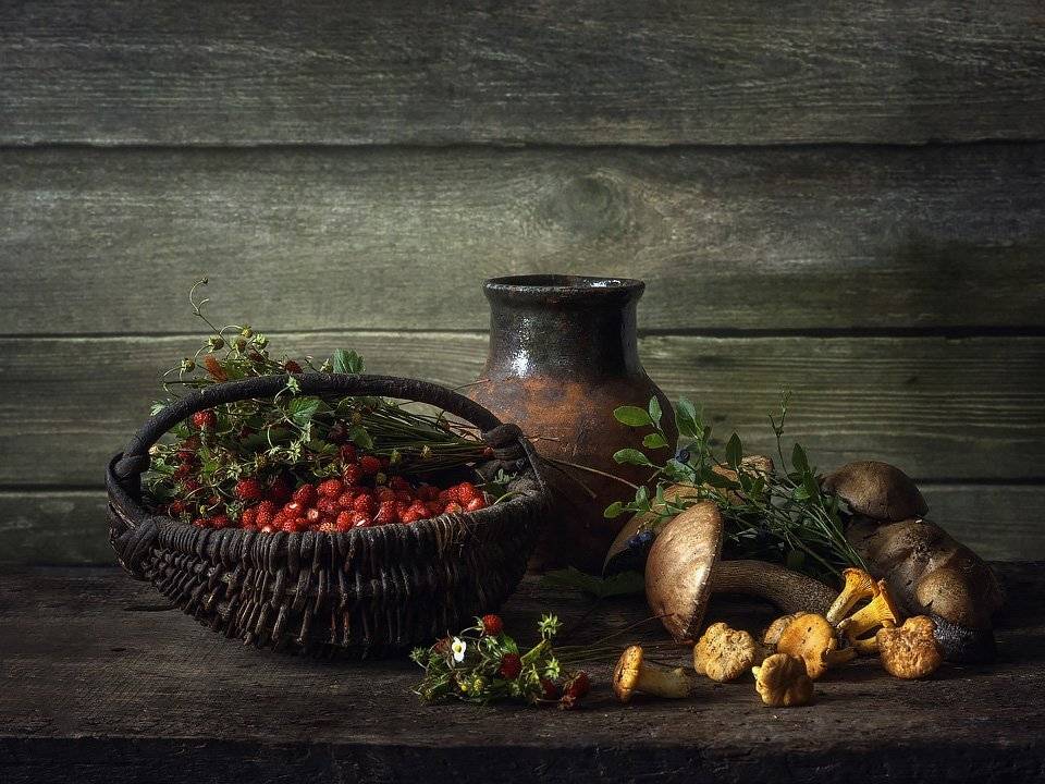 натюрморт, лето, лесной урожай, земляника, корзина, грибы, черника, крынка, Ирина Приходько