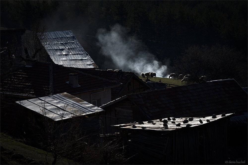 болгария, родопы, барашки, Denis Buchel (Денис Бучель)