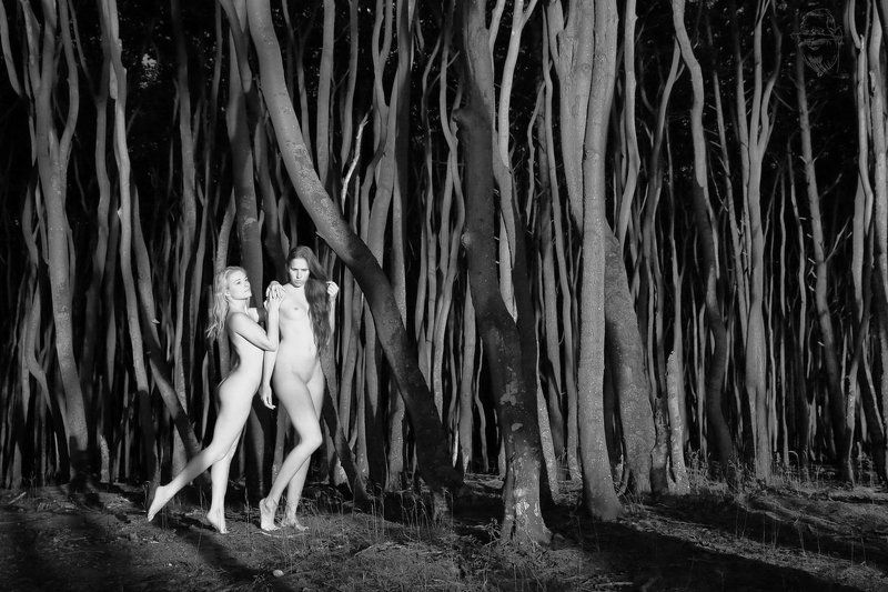 nude, girl, artnude, art, nature zu zweit фото превью