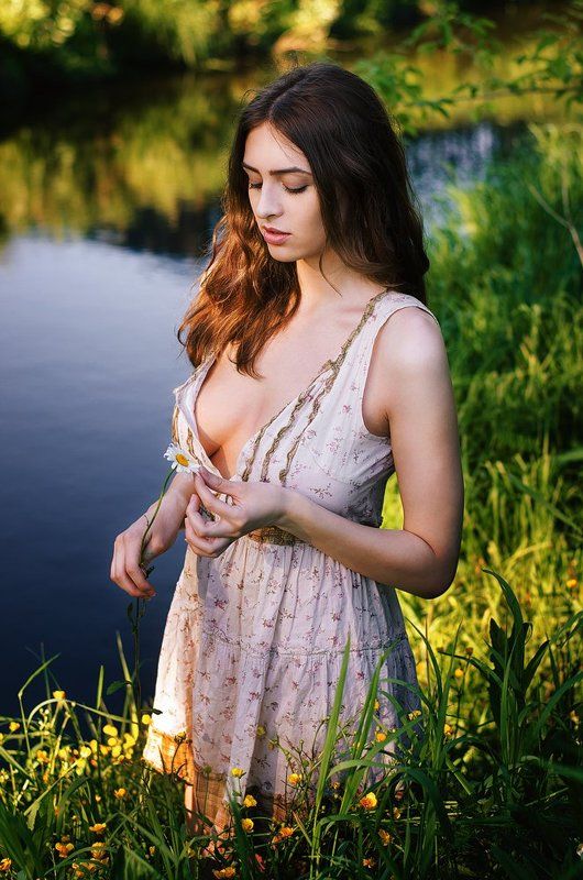 Ромашка фото превью