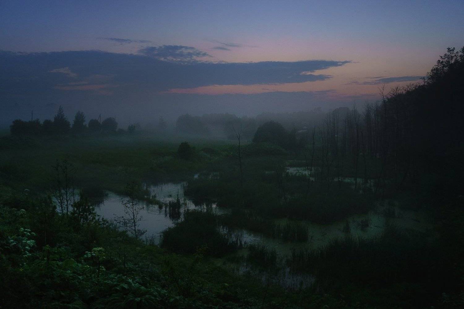 , Сергей Зимин