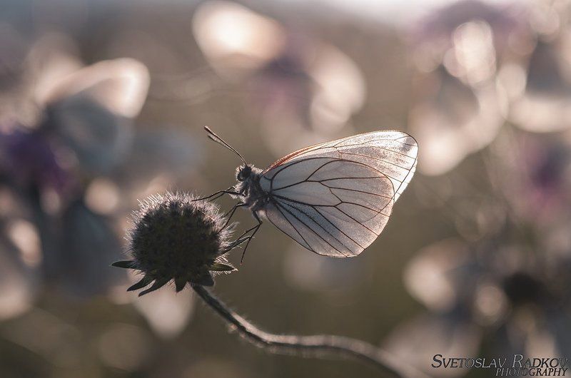 Самотна по залез фото превью