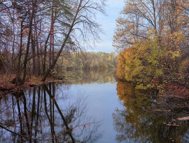 осень, лес, река, Тихая осень фото превью