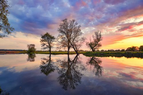 Reflection in Odra