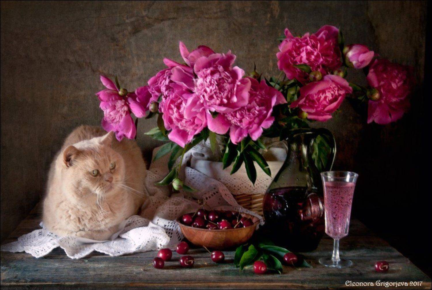 натюркотики, натюрморт, кот, пионы, лето, Eleonora Grigorjeva