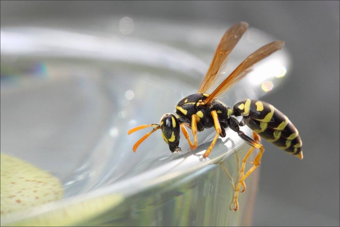 , Сергей Фудиненко