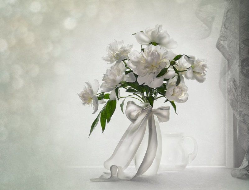 белые пионы, весна,май, настроение,натюрморт,нежность Бело - с - Нежные.... фото превью