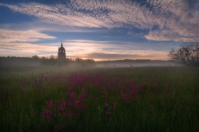 Летняя гармония... фото превью