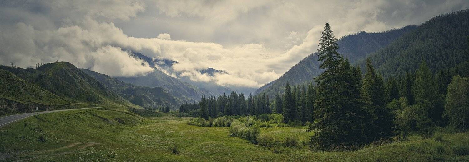 горы, лес, дорога, луг, облака, на горах, лиственницы, путешествие, алтай, Игорь Токарев