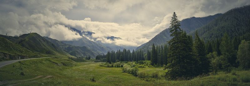 горы, лес, дорога, луг, облака, на горах, лиственницы, путешествие, алтай После дождя фото превью