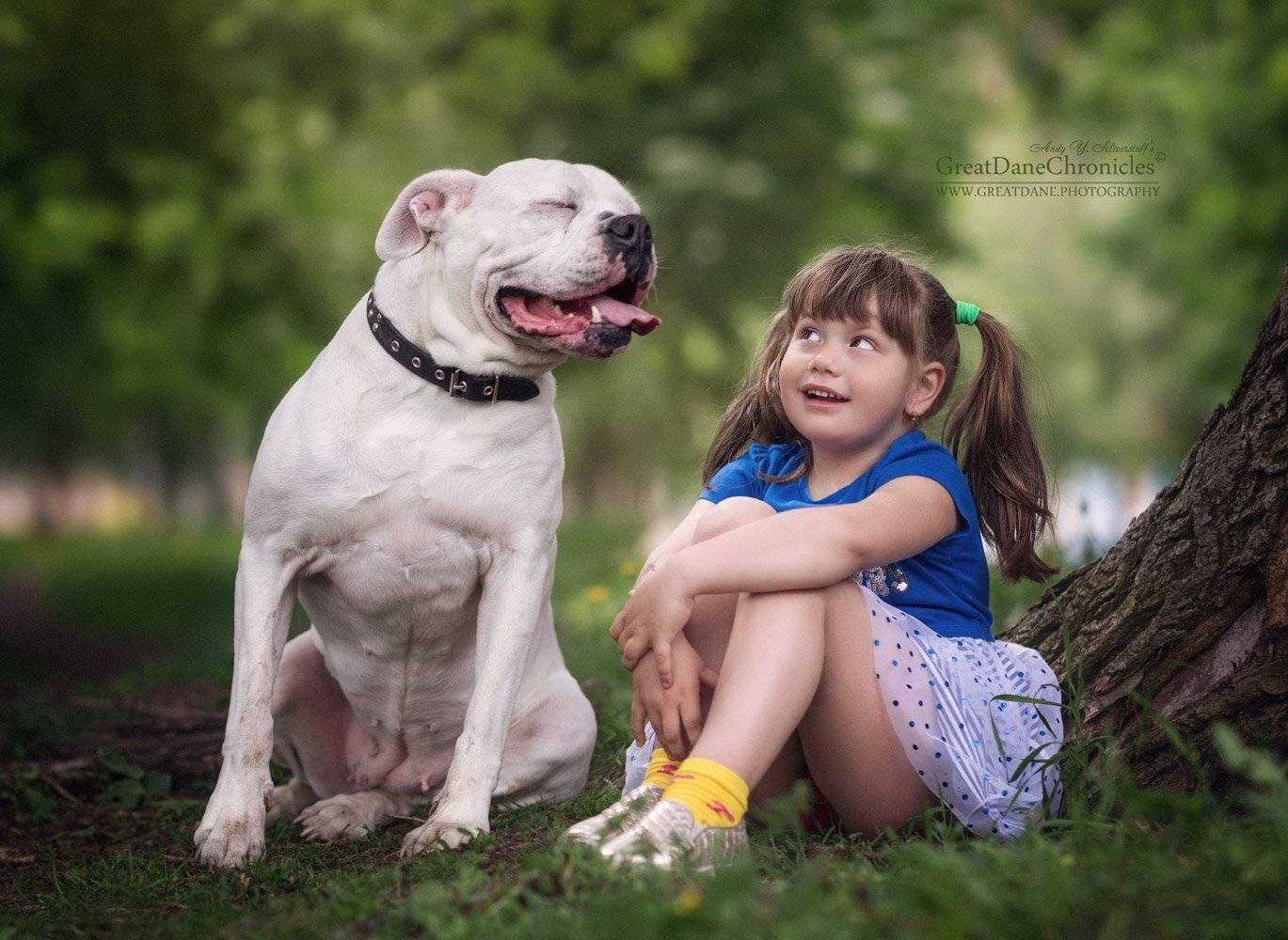 , Андрей Селиверстов