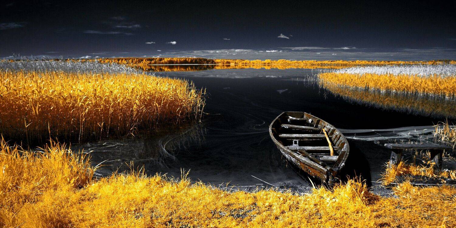 infrared,ик-фото,инфракрасное фото,инфракрасная фотография,пейзаж,природа,беларусь,лето, Sixten ( Сергей )