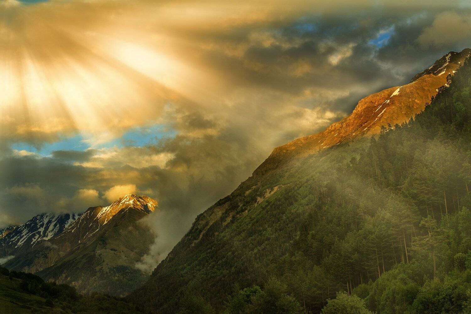 , Геннадий Чеботарев