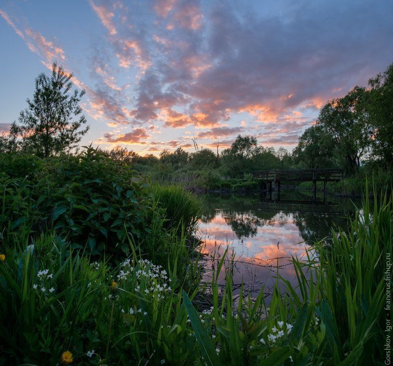 москва,свиблово,закат,река,яуза,трава,цветы Закат в Свиблово фото превью
