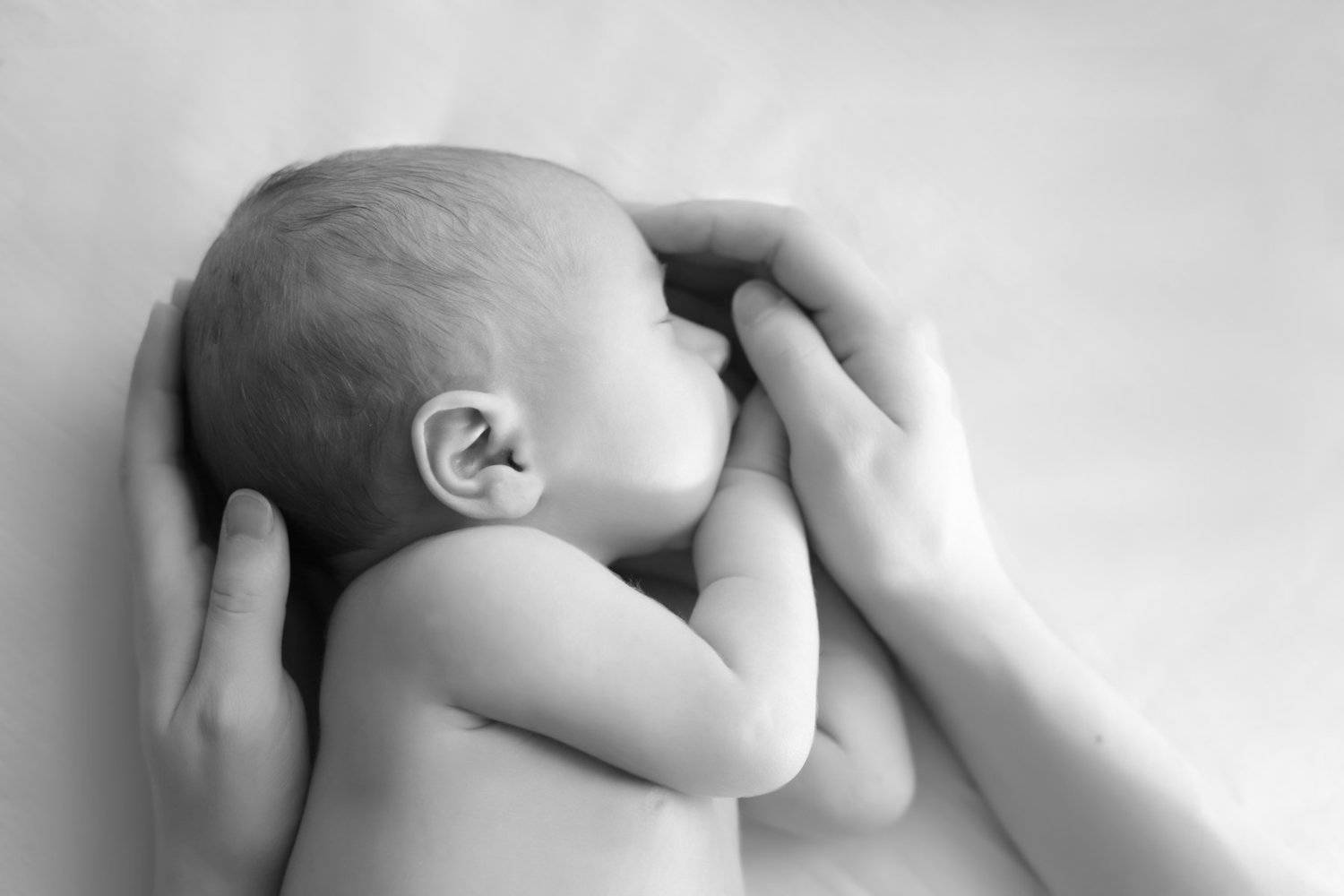 , Прозорова Наталья