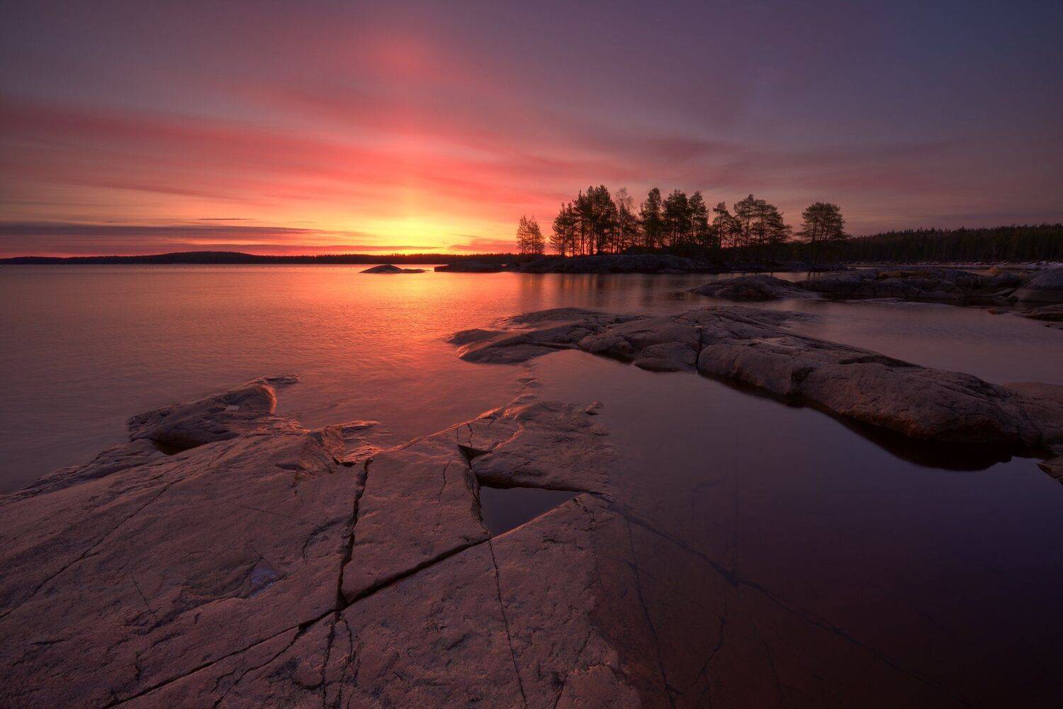, Максим Евдокимов (www.wildphotorus.ru)