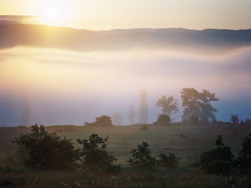 восход Восход фото превью