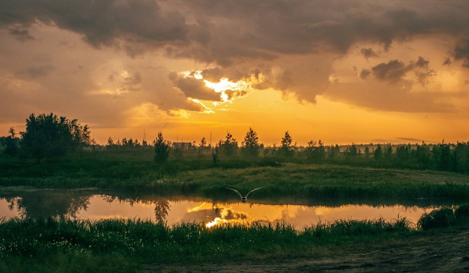 ямал , сибирь, природа, салехард , рассвет, ямал, Настя Братка