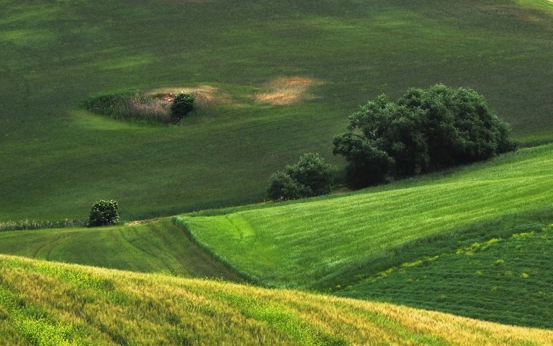 tuscany,italy,landscape,  фото превью