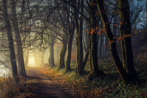 Into the light