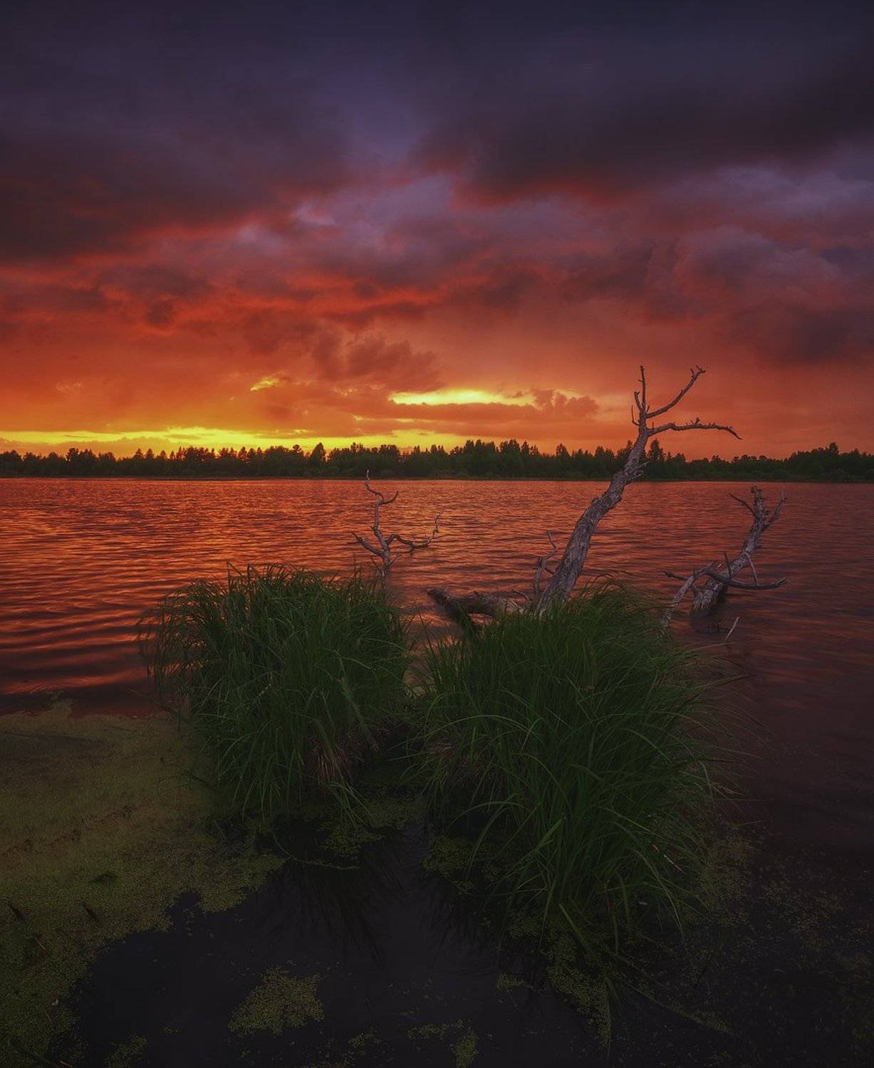 россия, подмосковье, весна, вечер, закат, небо, краски, свет, цвет, огонь, вода, озеро, тучи, облака, трава, Иван Мухин