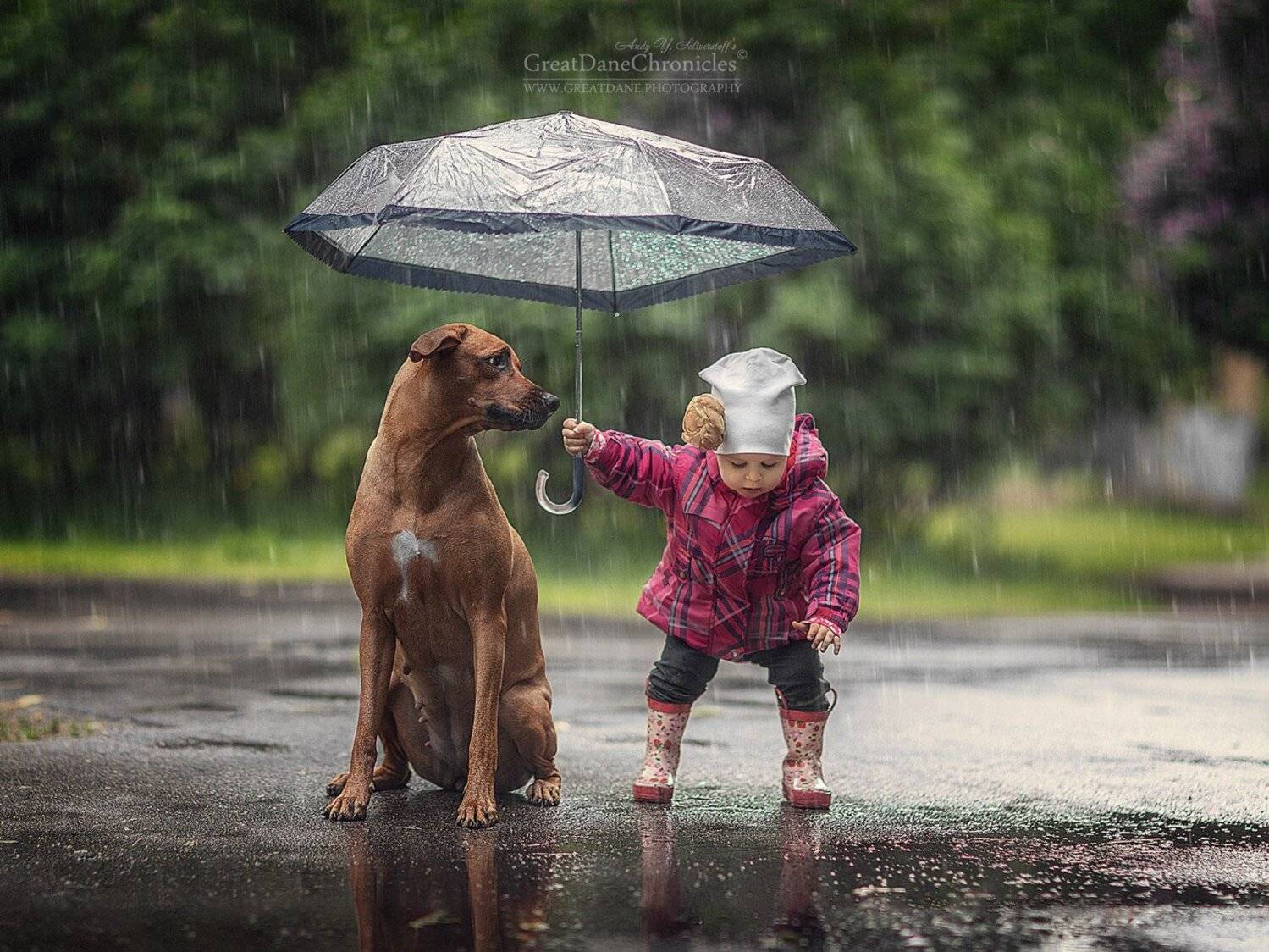 , Андрей Селиверстов