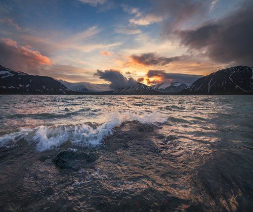 Большой вудъявр