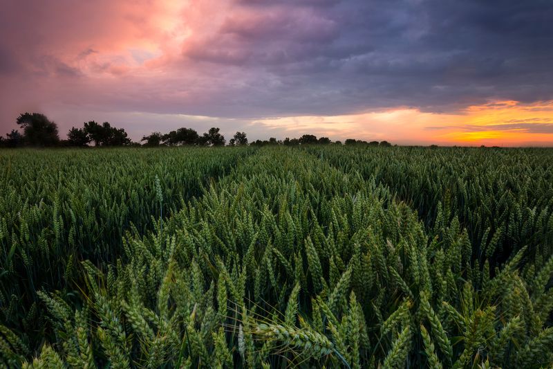 Замечателнии закат фото превью