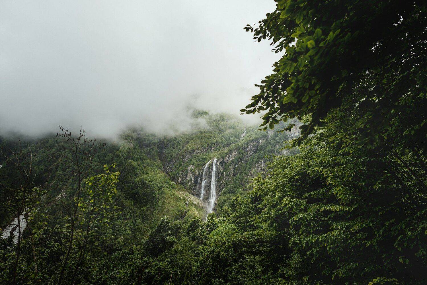 пейзаж, фотограф, фотографмариямальгинаволкова,сочи,красота,природа,nikon, Мария Мальгина