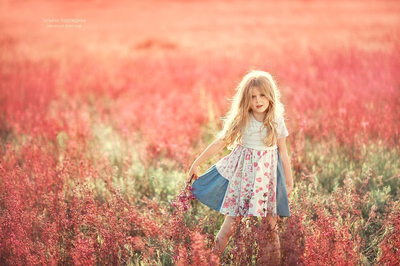 Прованс по-русски) фото превью