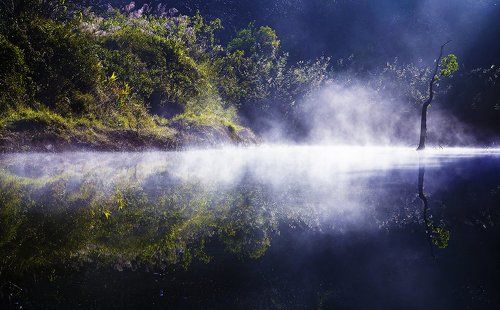 Lonely lake