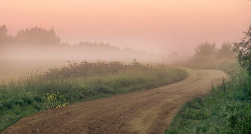 Summer morning