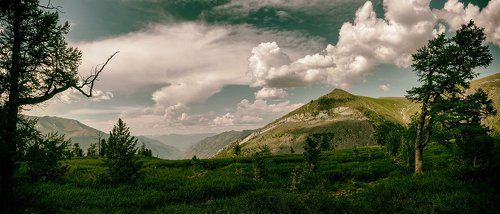 Горный Алтай. Над долиной Кучерлы.