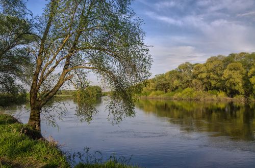 Вечер на реке