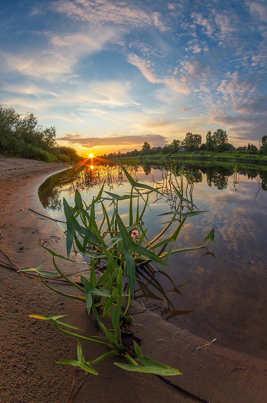 маленький монстрик фото превью