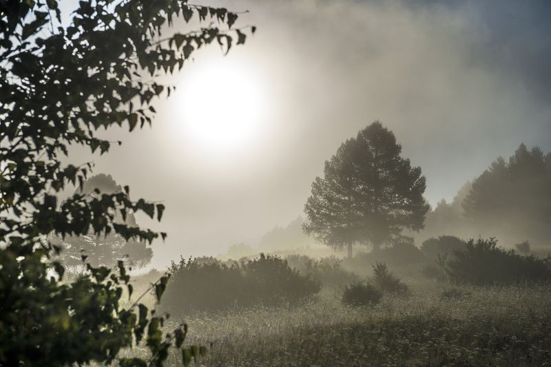 туман, пейзаж, горы, южный Урал, солнце Туман фото превью