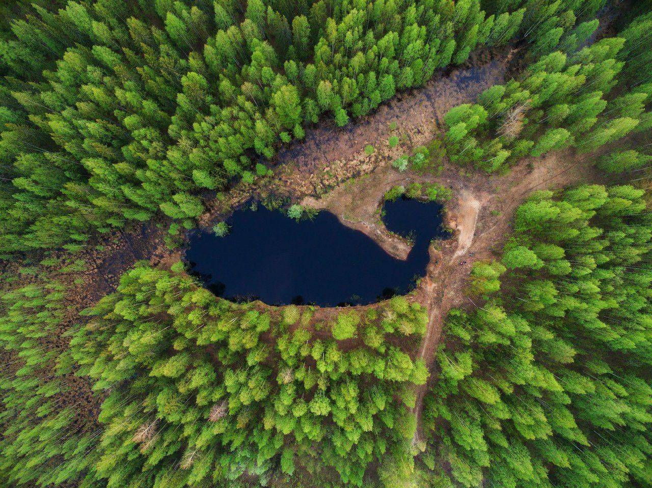 печора,коми,лес,свысока,квадрокоптер, Игорь Подобаев