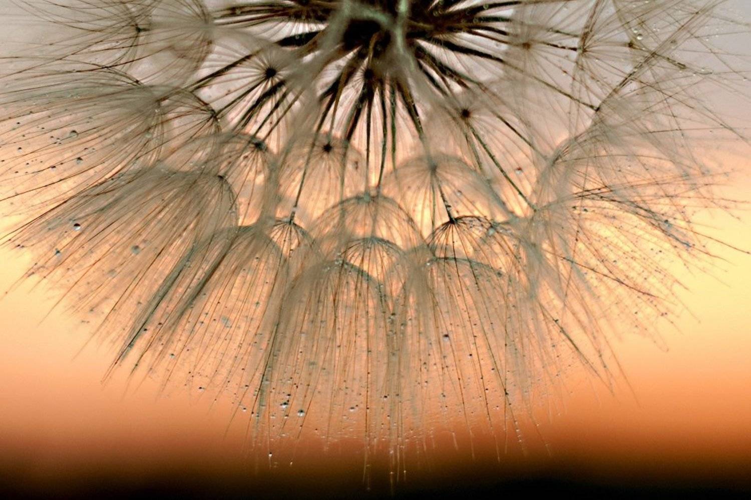 , Марина Соколова