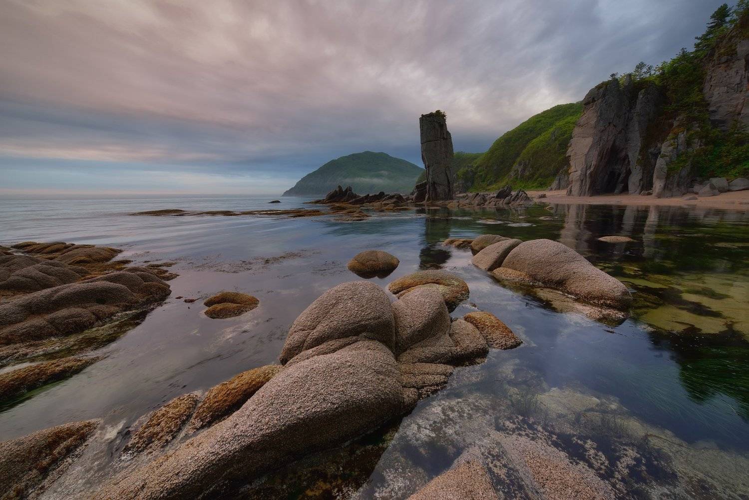 , Максим Евдокимов (www.wildphotorus.ru)