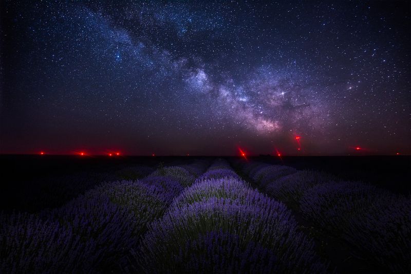 Млечный путь через поле лаванды фото превью