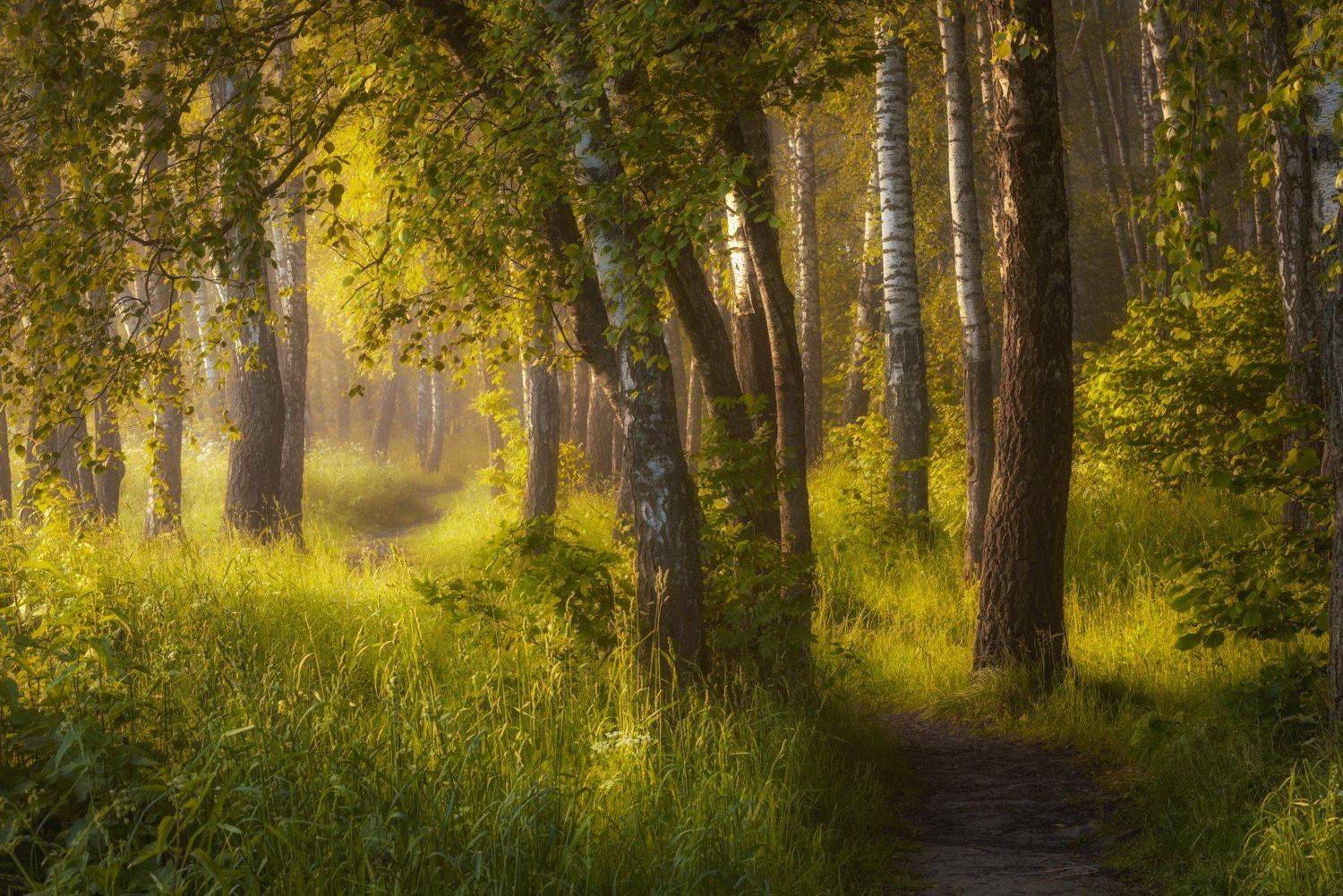 #пейзаж #подмосковье #закат #рассвет #россия #жизнь #мир #чехов #sibirikonium85 , Морозов Юрий