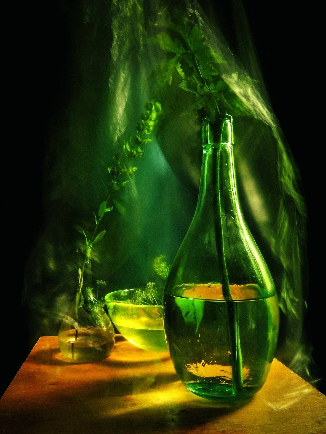 , Харитонова Елена