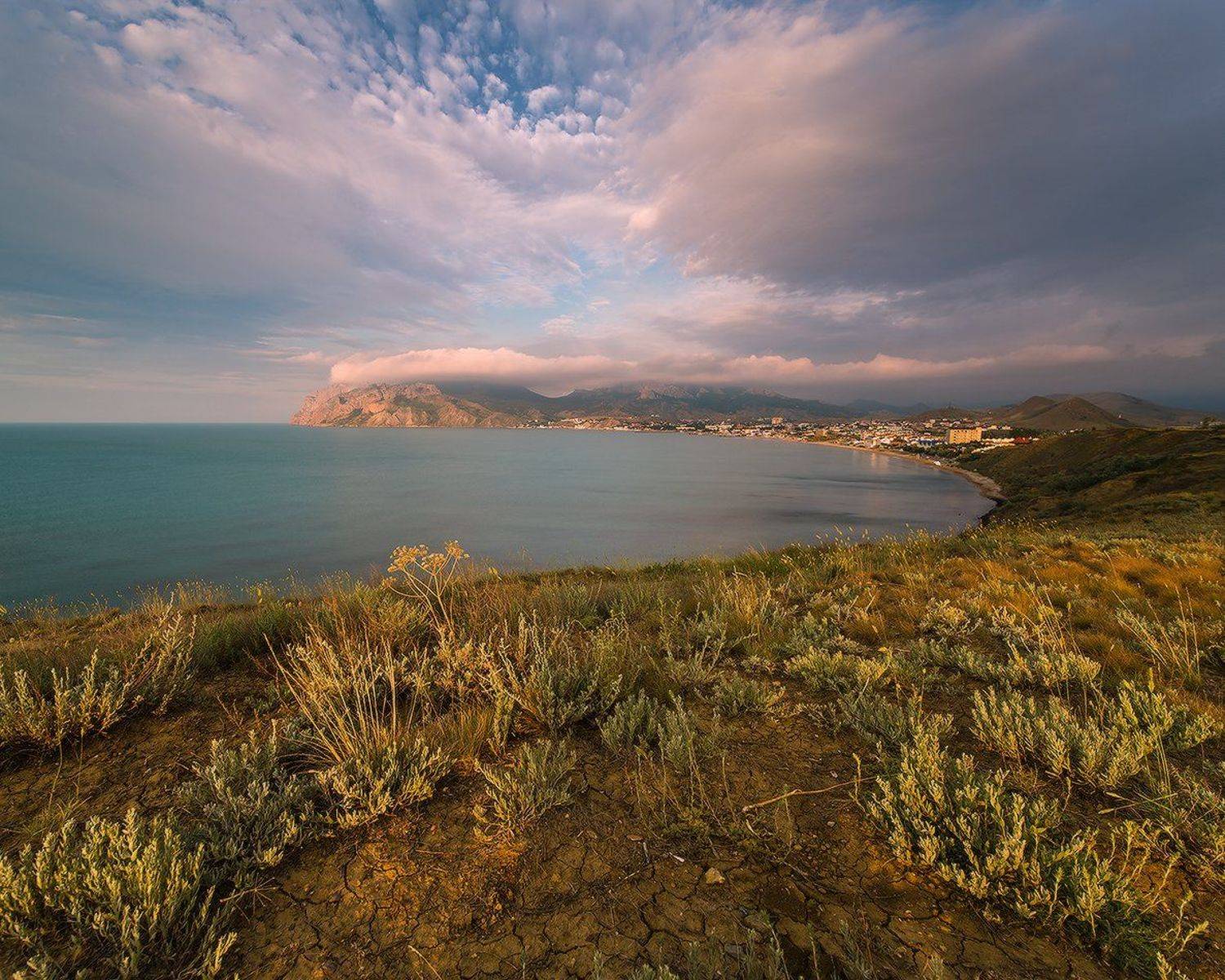 , Николай Мысливцев