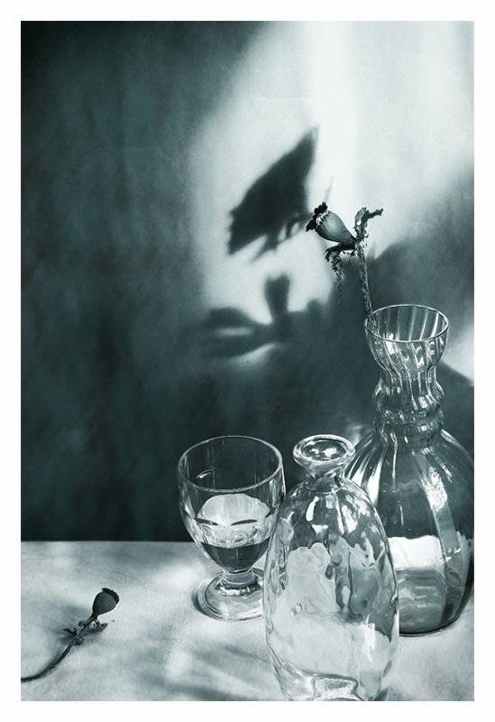 натюрморт, тени, цветы, мнохром, Курочкина Диана