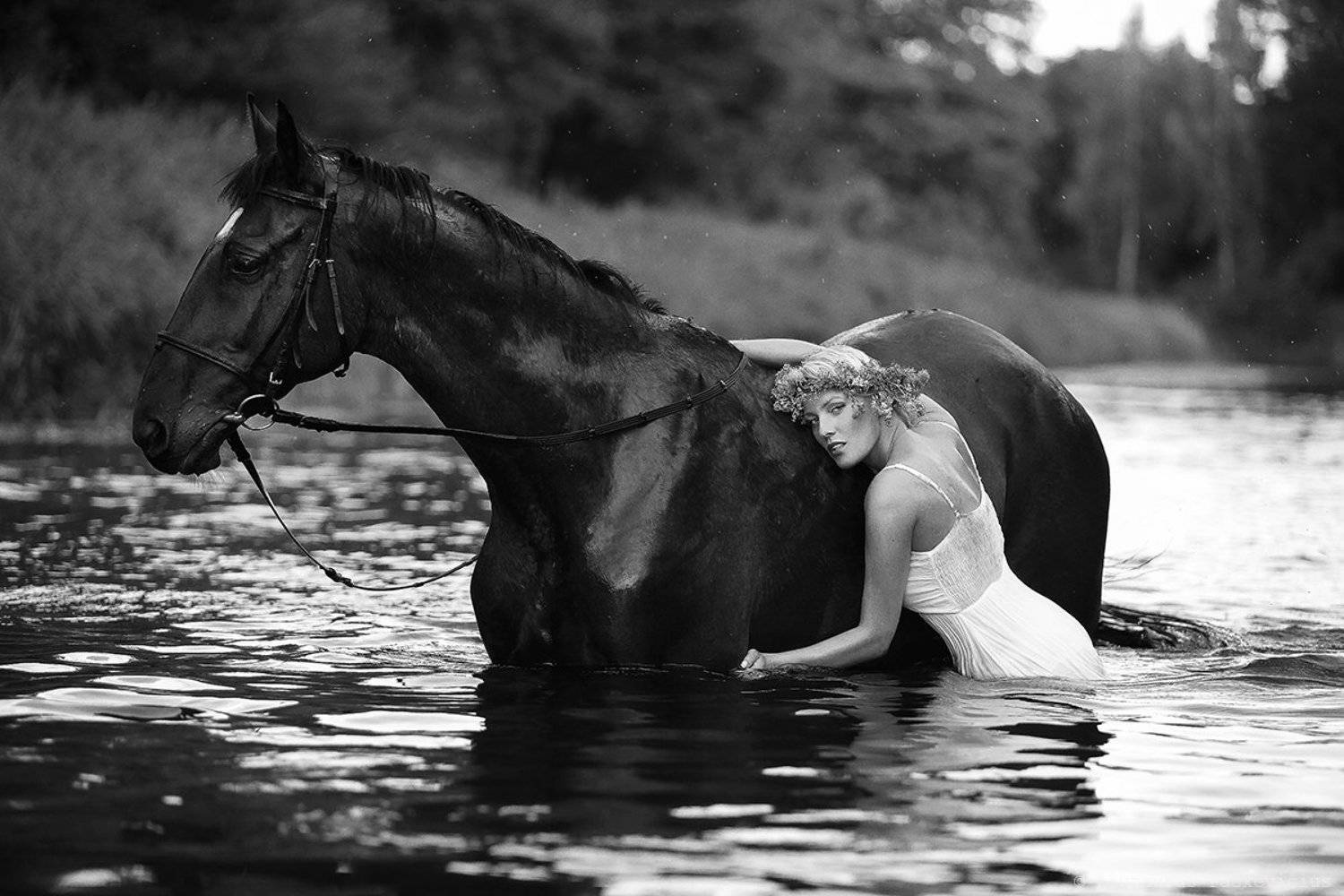 liutauras paskevicius lpfoto, Liutauras Paskevicius