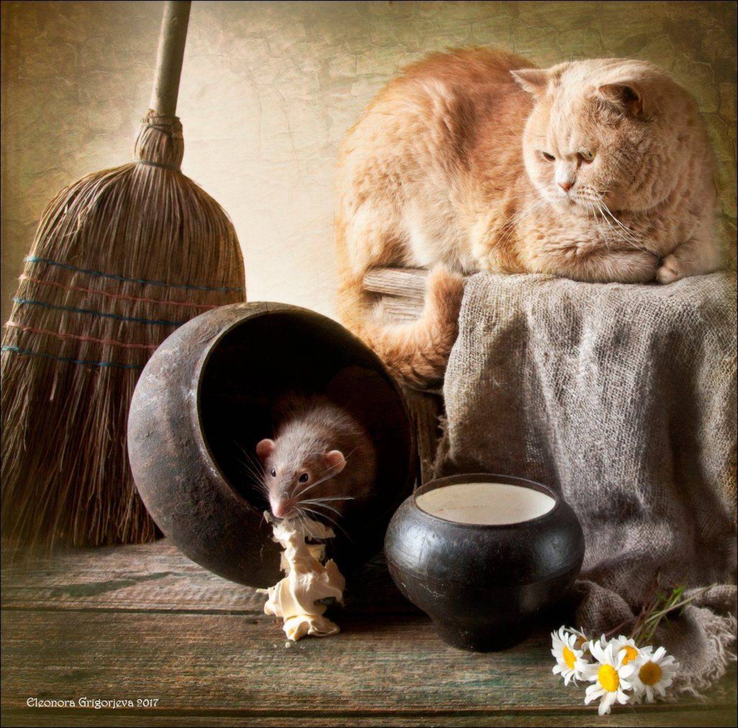 крысиные истории, натюркотики, кот, крыса, кошки-мышки, Eleonora Grigorjeva
