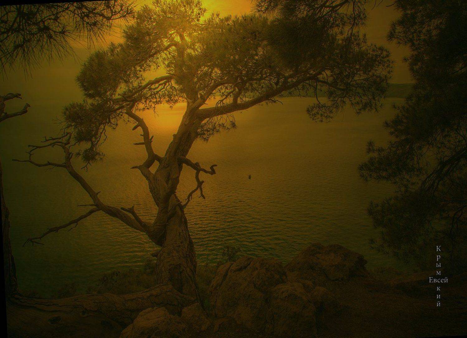 , Борис Костарев