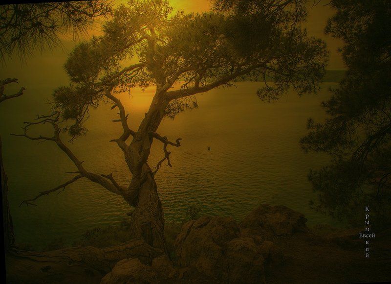 Крым. Летний вечер у моря. фото превью